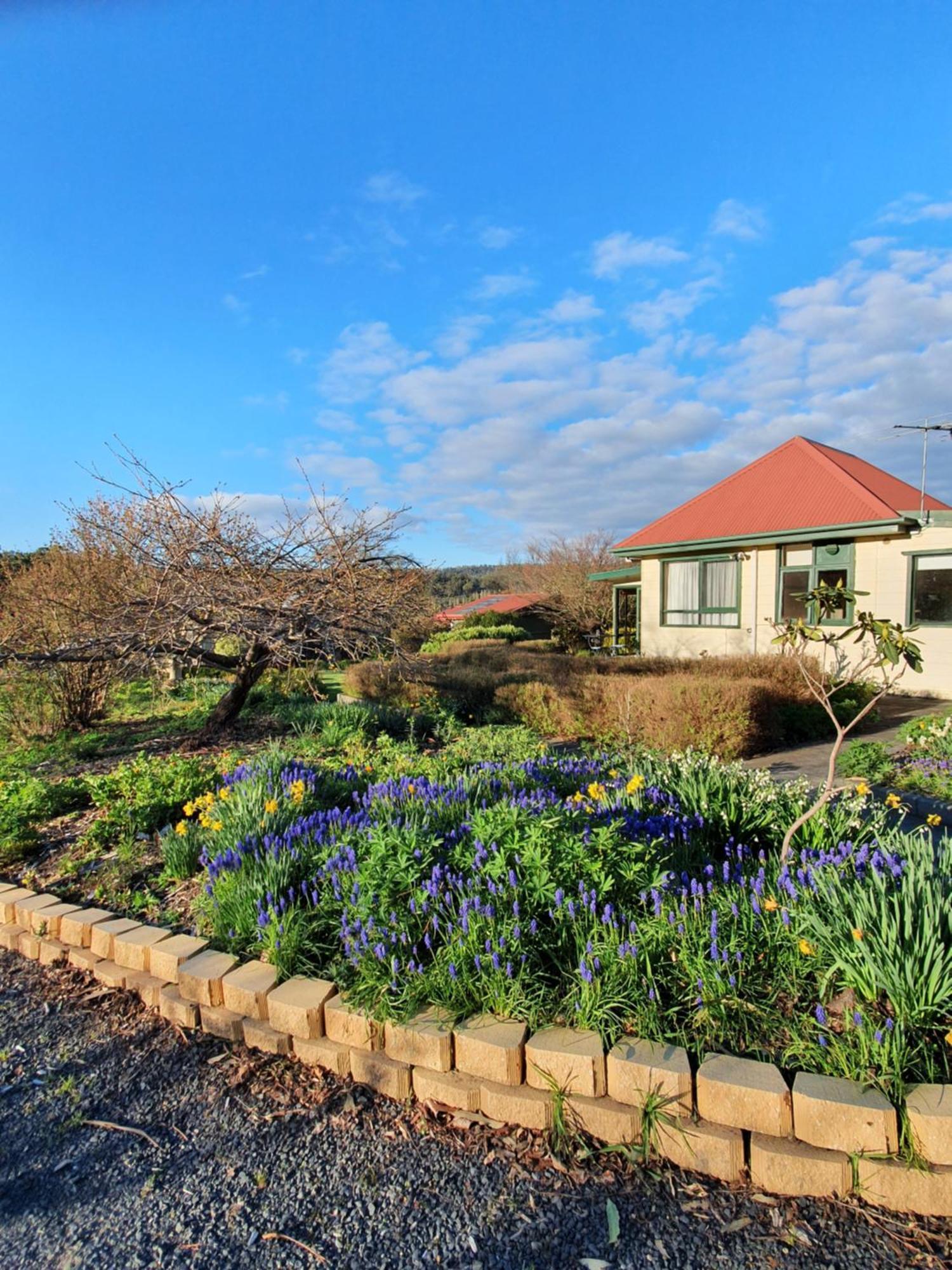Hamlet Downs Country Accommodation 펜턴버리 외부 사진