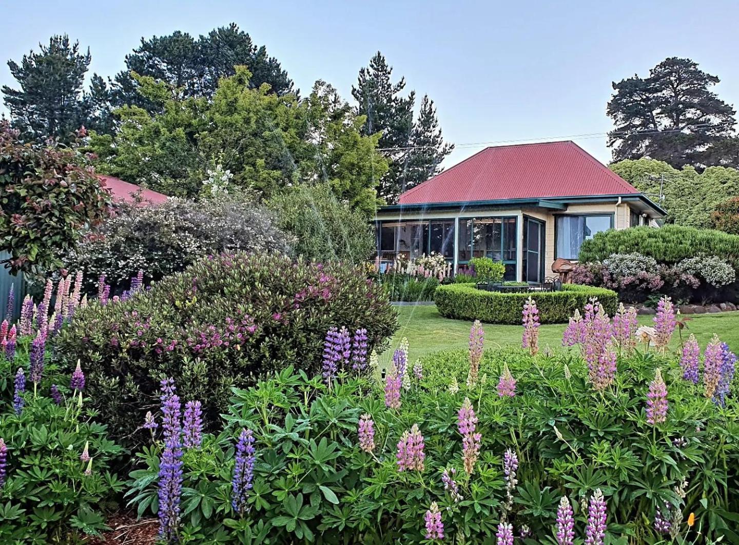 Hamlet Downs Country Accommodation 펜턴버리 외부 사진